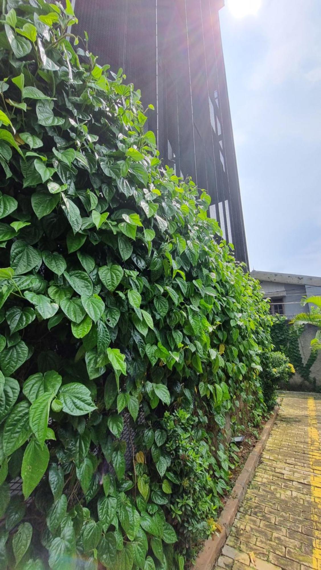 Guest House 555 Nki South Tangerang Esterno foto